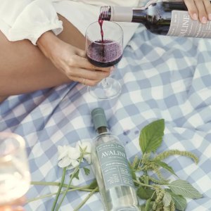 cameron-diaz-avaline-wine-black-friday-sale