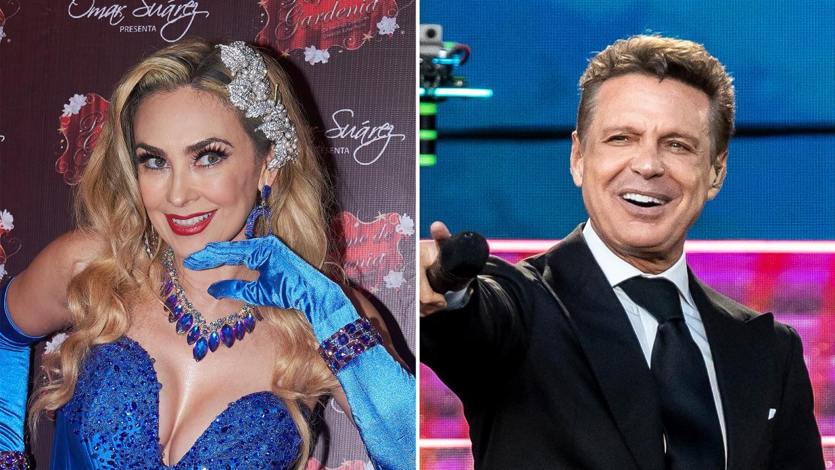 Araceli Arambula y Luis Miguel