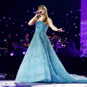 Breaking Down Taylor Swifts Eras Tour Cleaning Cart Animal of the Day Poster and More
