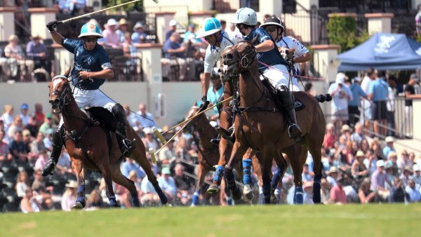 Is Prince Harry Featured in Netflixs Polo Series Meet the Shows Main Stars