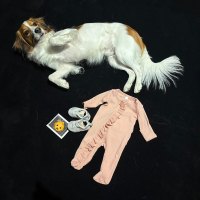 Dodgers' Shohei Ohtani & Wife Mamiko Expecting 1st Baby: 'Can't Wait for Little Rookie'