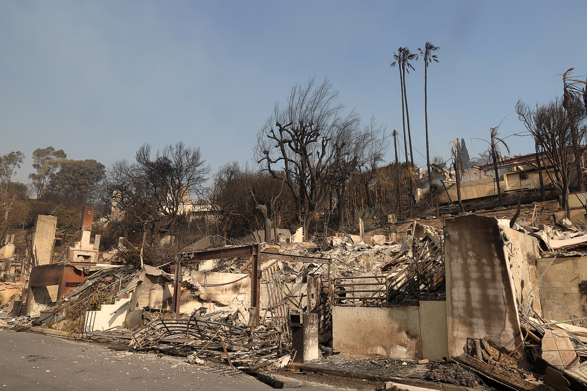 Timothée Chalamet Fan Account Creator Slams ‘Evil’ People Celebrating L.A. Fire Destroying Her Home