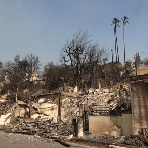 Timothée Chalamet Fan Account Creator Slams ‘Evil’ People Celebrating L.A. Fire Destroying Her Home
