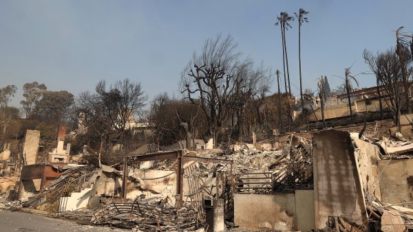 Timothée Chalamet Fan Account Creator Slams ‘Evil’ People Celebrating L.A. Fire Destroying Her Home