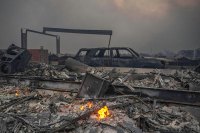 Timothée Chalamet Fan Account Creator Dines 'Bad' People Celebrating LA Fire Destroys Her Home