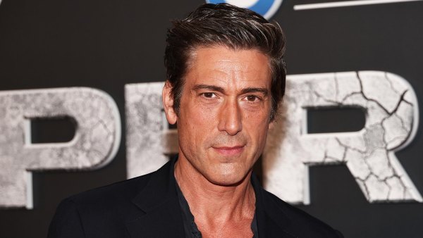 Fans Divided Over David Muirs Vain Wardrobe Hack Covering Wildfires