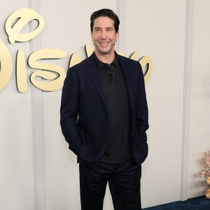 David Schwimmer