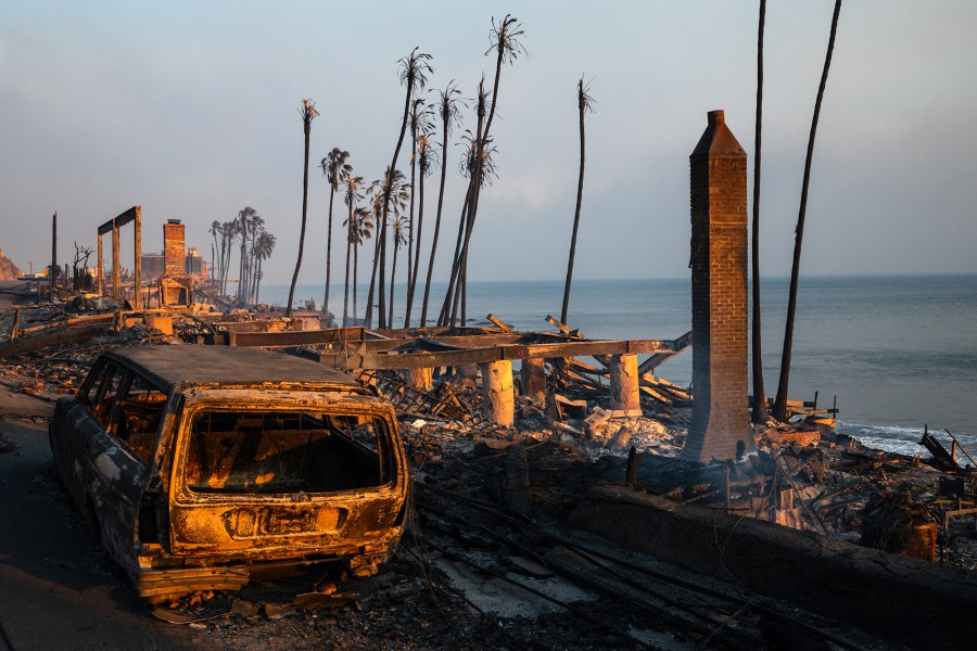 How to Help Those Affected by Los Angeles Wildfires