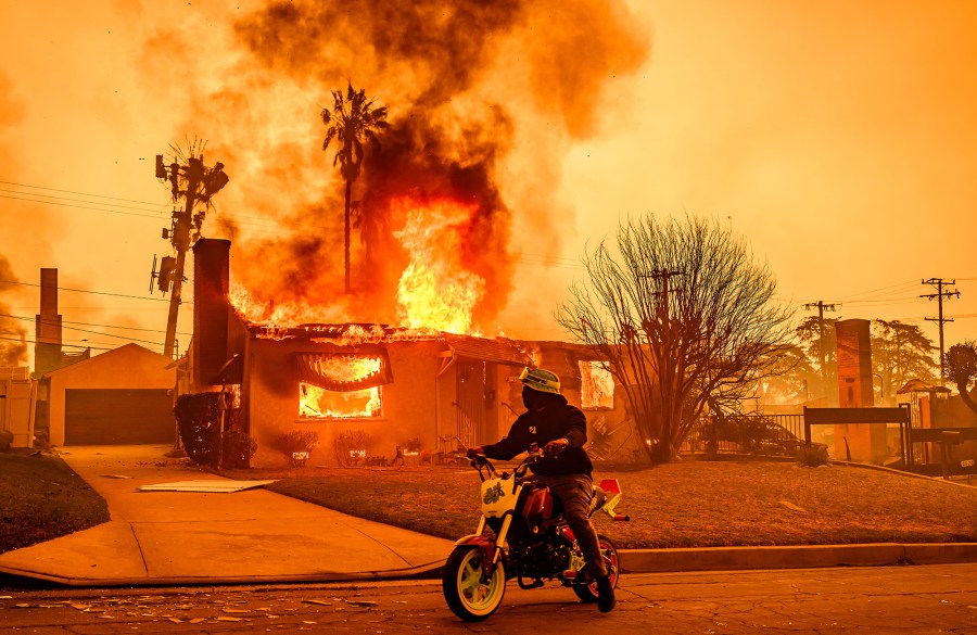 How to Help Those Affected by Los Angeles Wildfires