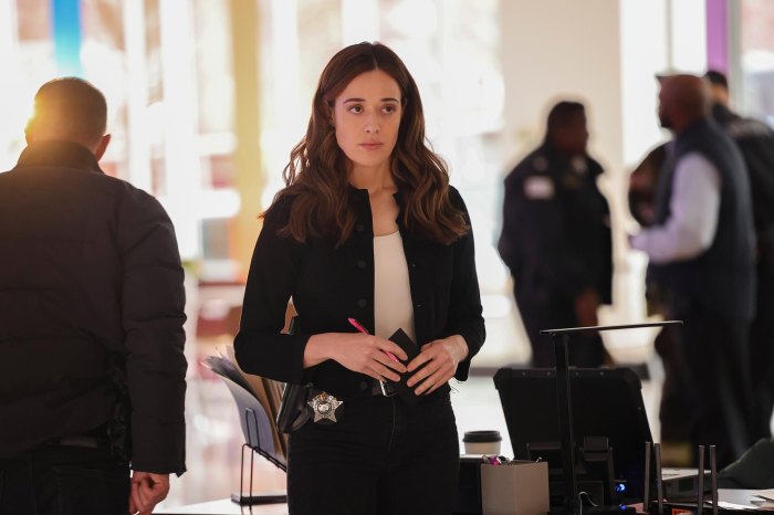 Which Chicago P.D. Stars Are — And Aren't — Returning for Season 13 ...