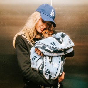 Paris Hilton Fosters Dog Surrendered During Los Angeles Wildfires