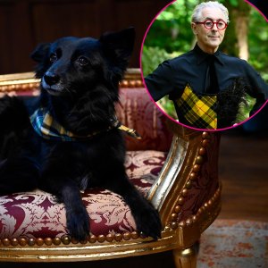 Traitors Host Alan Cummings Dog Steals Style Spotlight in Season 3
