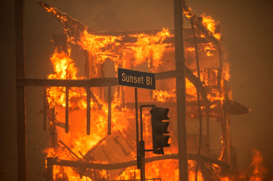 Jamie Lee Curtis Makes 1 Million Dollar Donation to LA Wildfire Relief Fund