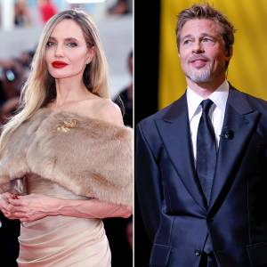 Angelina Jolie Hasnt Sworn off Men After Brad Pitt Divorce