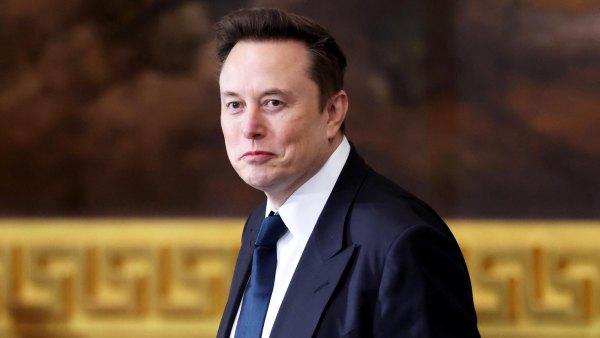Author Ashley St Clair Sues Elon Musk for Sole Legal Custody of Their Child