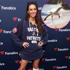Bill Belichick Girlfriend Jordon Hudson Is Obsessed With Seagulls
