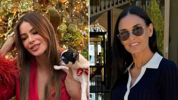 Breaking Down Hollywoods Most Pampered Pooches