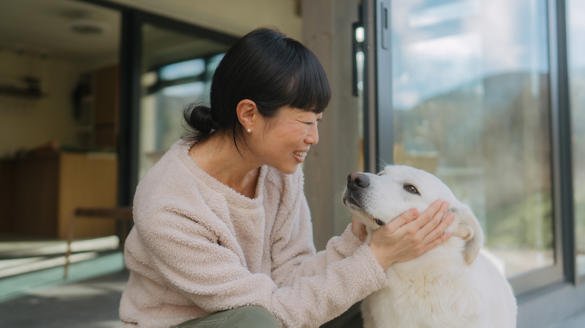 Busy pet parent loving their dog