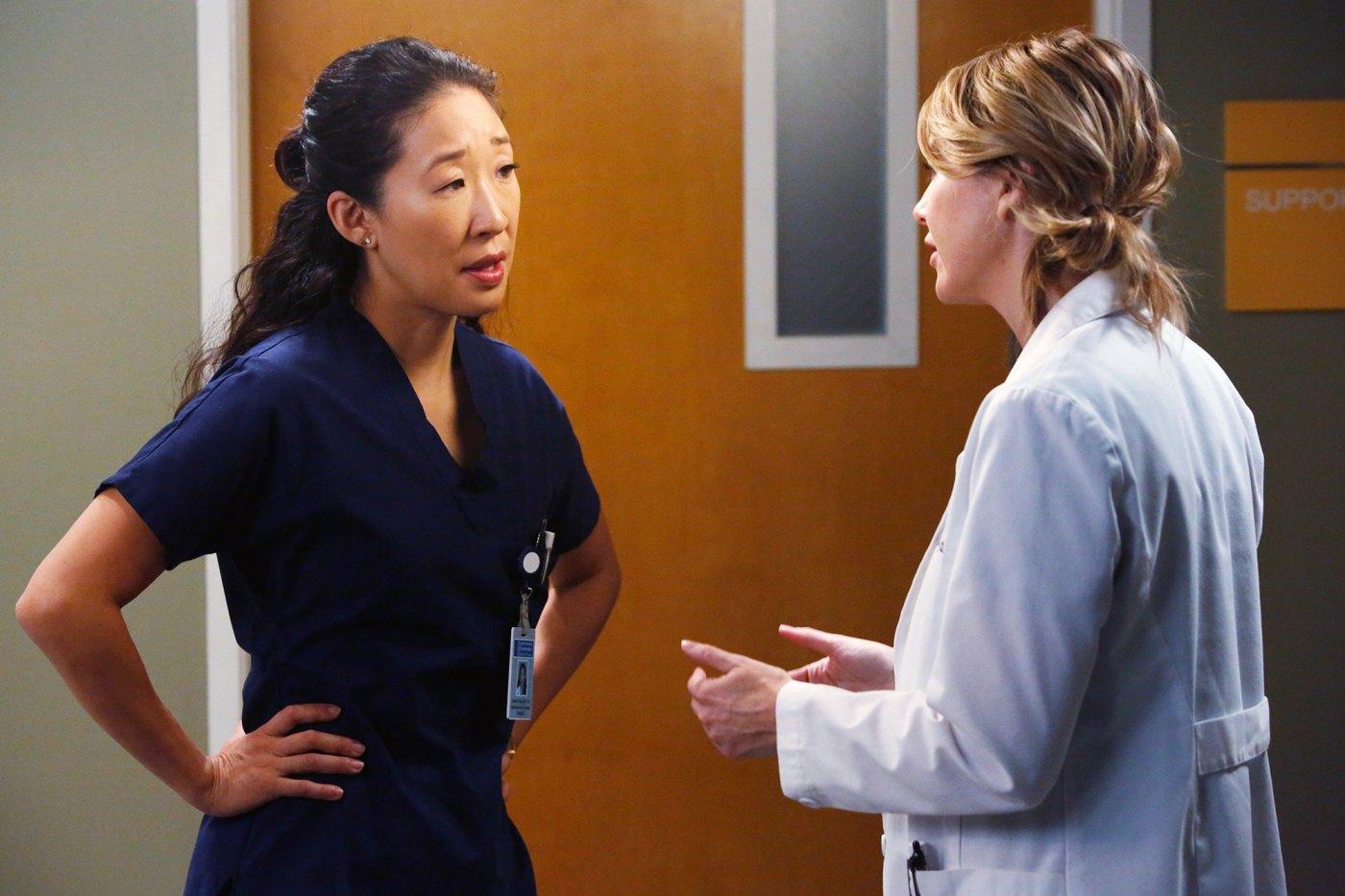 Ellen Pompeo Thought Grey's Anatomy Would End After Sandra Oh Left | Us ...