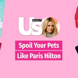 Paris Hilton Pets