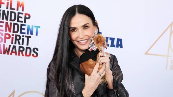 Pilaf the Dog Congratulates Demi Moore After Oscars Loss