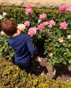 Meghan Markle shares rare photos of Little Loves Prince Archie and Princess Lilis equivalent to red hair