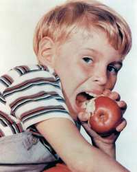 Jay North as Dennis Mitchell