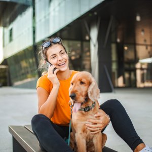 dog