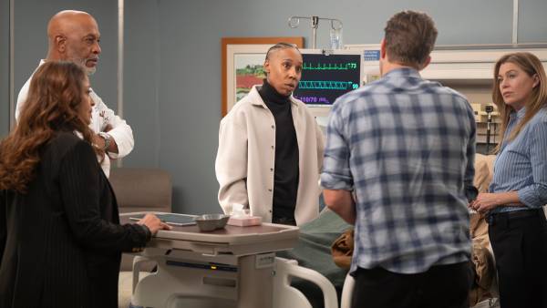 Ellen Pompeo Grey's Anatomy Storyline