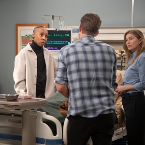 Ellen Pompeo Grey's Anatomy Storyline