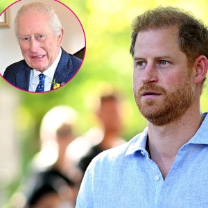 Promo Prince Harry Not Told About King Charles Recent Hospital Stay