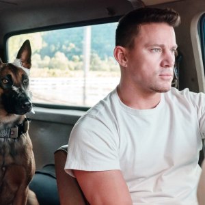 A man and his dog sit in a truck in Dog.
