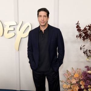David Schwimmer Couldn't Listen to 'Friends' Theme Song After Show Ended