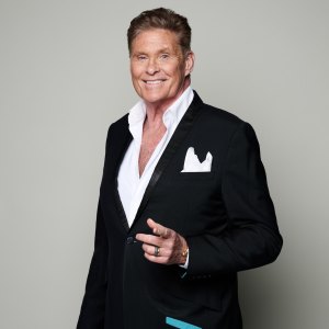 David Hasselhoff Wheelchair Explained