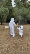 Meghan Markle and Princess Lilibet correspond to beekeepers