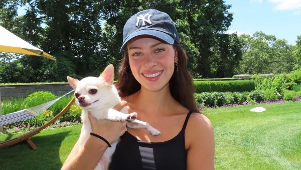 Nicola Peltz s Dog Death Court Drama Amid Beckham Family Feud