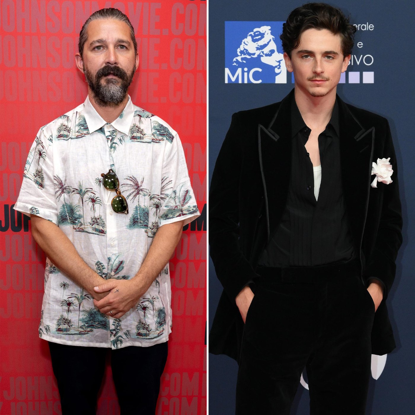Shia LaBeouf Timothee Chalamet Feud Alleged Leaked Emails Explained