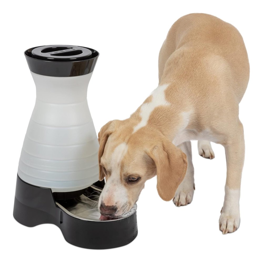 PetSafe Healthy Pet Water Station