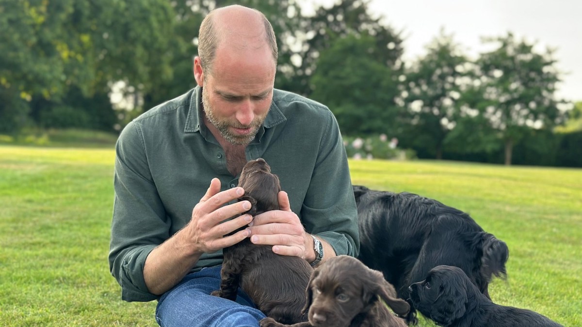 Prince William Celebrates Birthday with Adorable Puppy Photo by Kate