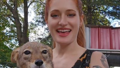 YouTuber Mikayla Raines Dies by Suicide After Online Bullying: Husband