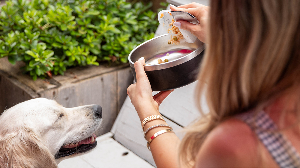 Cesar canine cuisine