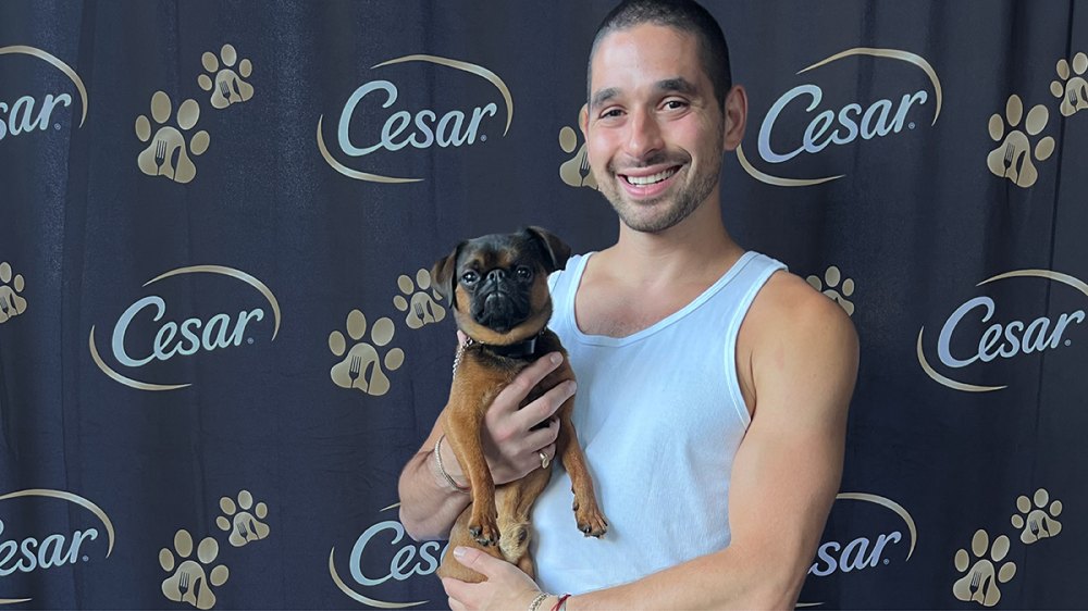cesar cuisine