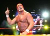 GettyImages-93351476 Hulk Estate