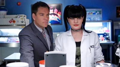 Pauley Perrette's Life Outside of Hollywood