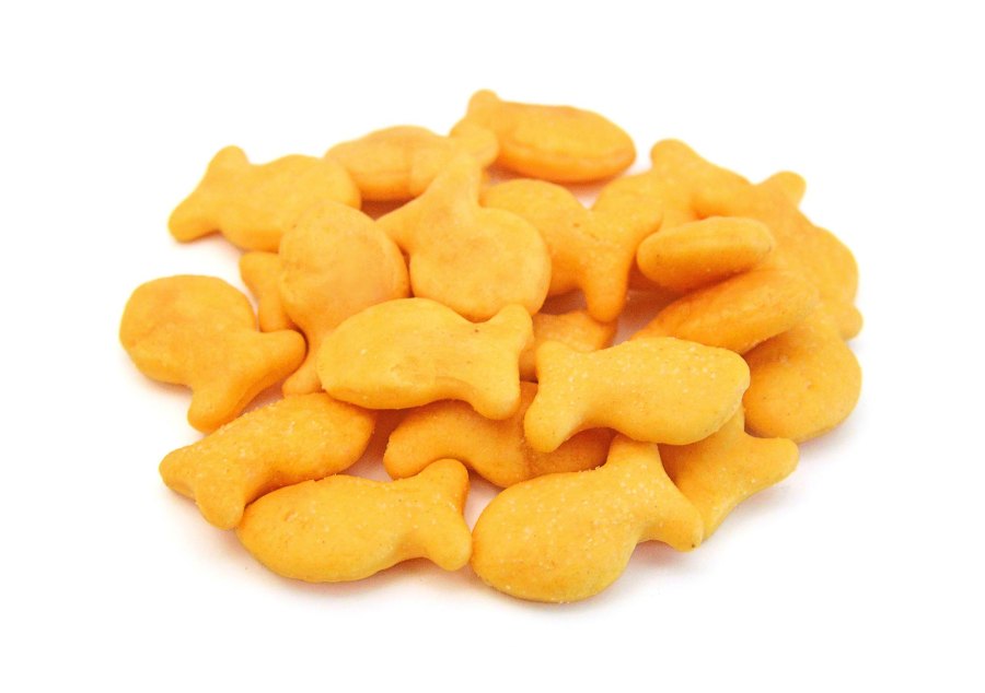 Ava Dash Tells Us What s In Her Bag goldfish GettyImages 1758549021