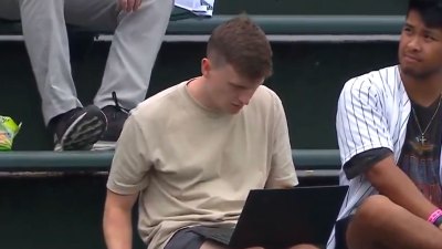 Chicago Cubs Fan Goes Viral For Working on His Laptop In Bleachers During Game