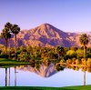 Backet Bucket List Drew S 2-Palm-Springs-Les-Cactus-Generic-Palm-Springs-Gettyimages-2169065067