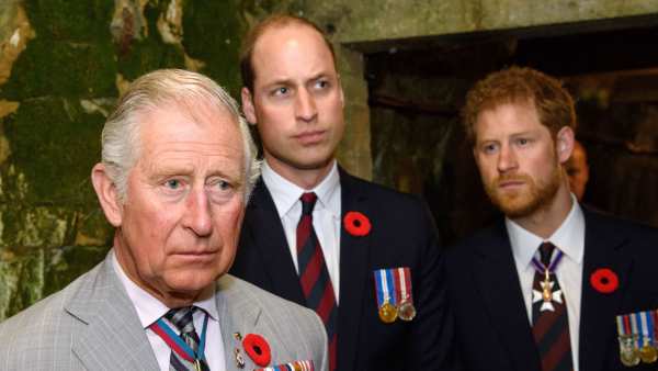 GettyImages-666488466 prince harry prince william rift different beast than charles beef
