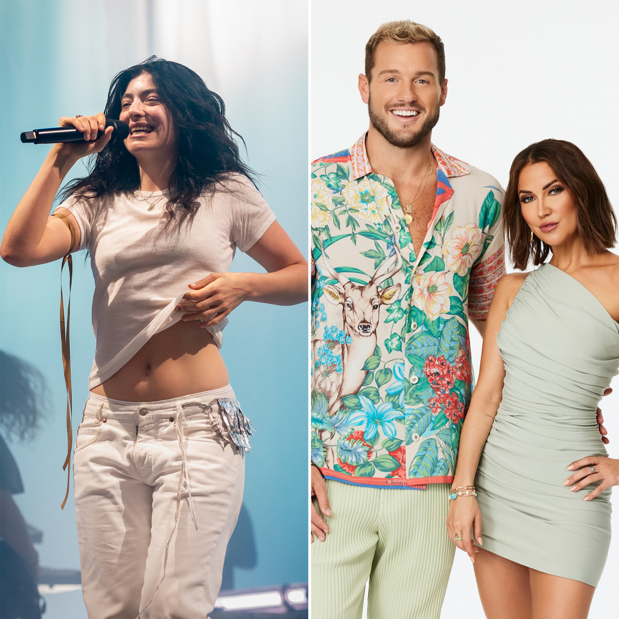 How Did We Go From Hot Girl Summer to Virgin Summer Lorde s Album Virgin Reality Shows and More