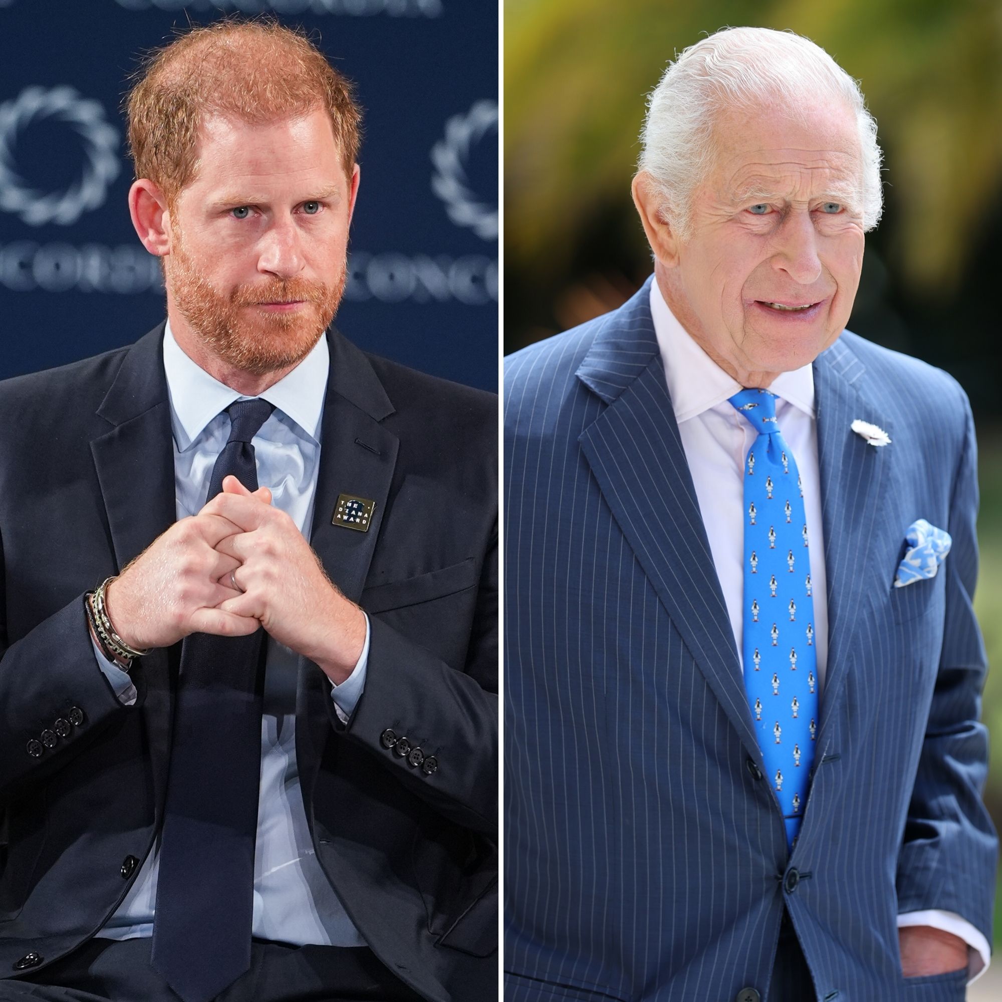 Prince Harry and King Charles Meeting